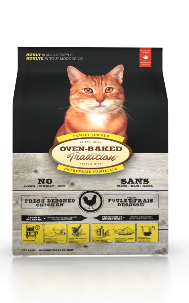 Chicken cat adult front_1859