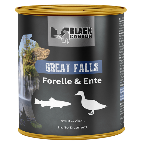 Great_Falls_800g_2001