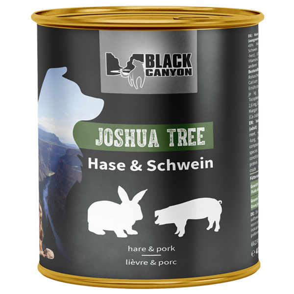 Joshua_Tree_800g_2003