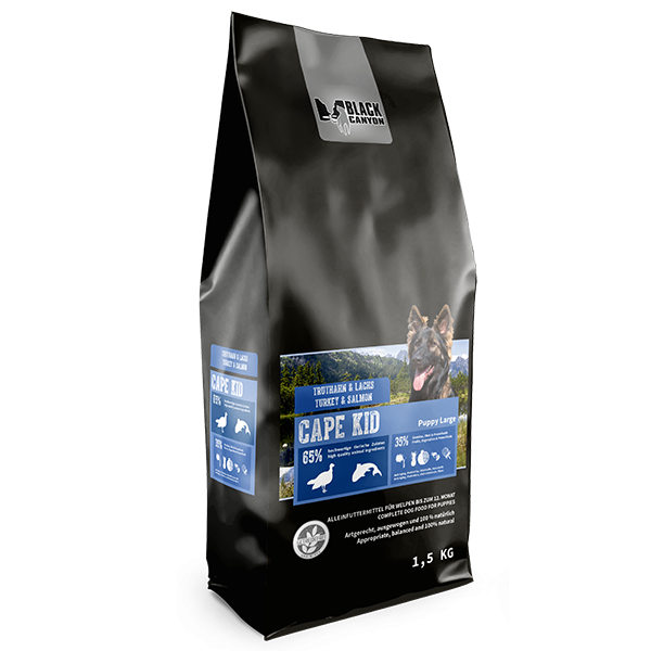 Cape_Kid_Puppy_large_15kg_facing_right_1273